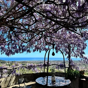 Il Noceto Dell'etna , Giarre Italia